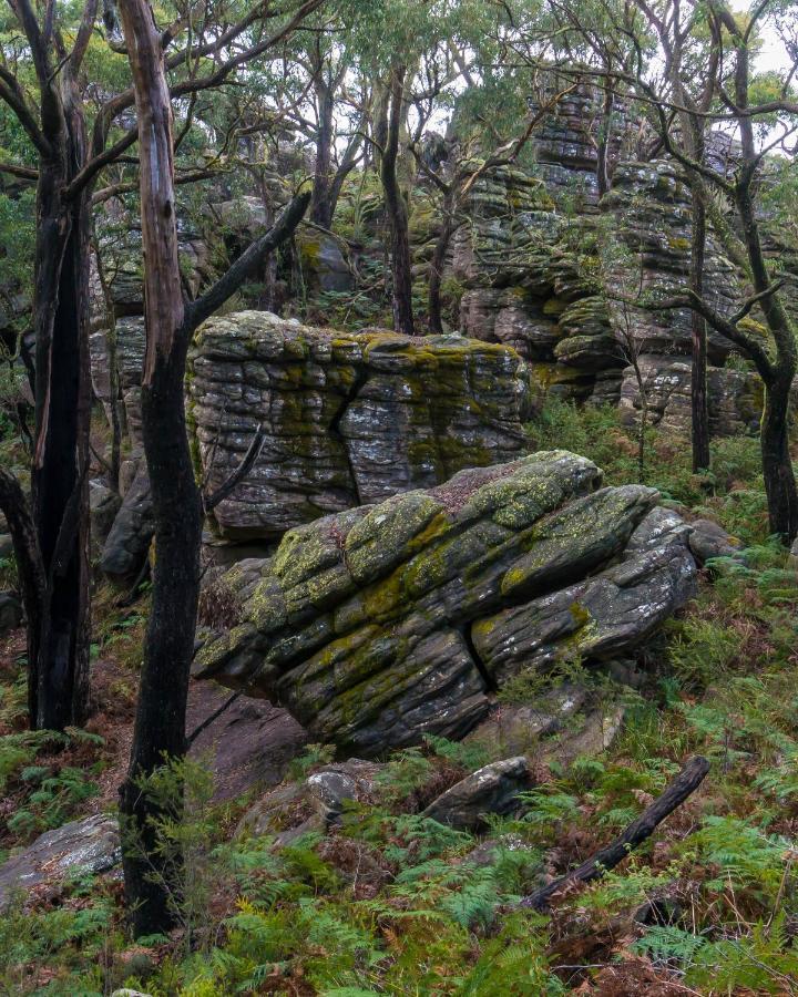 Wonderland Cottages Halls Gap Dış mekan fotoğraf