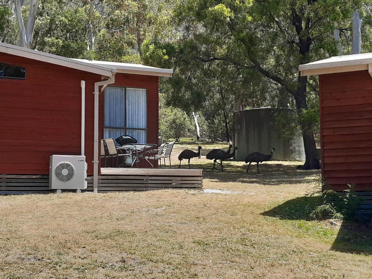 Wonderland Cottages Halls Gap Dış mekan fotoğraf
