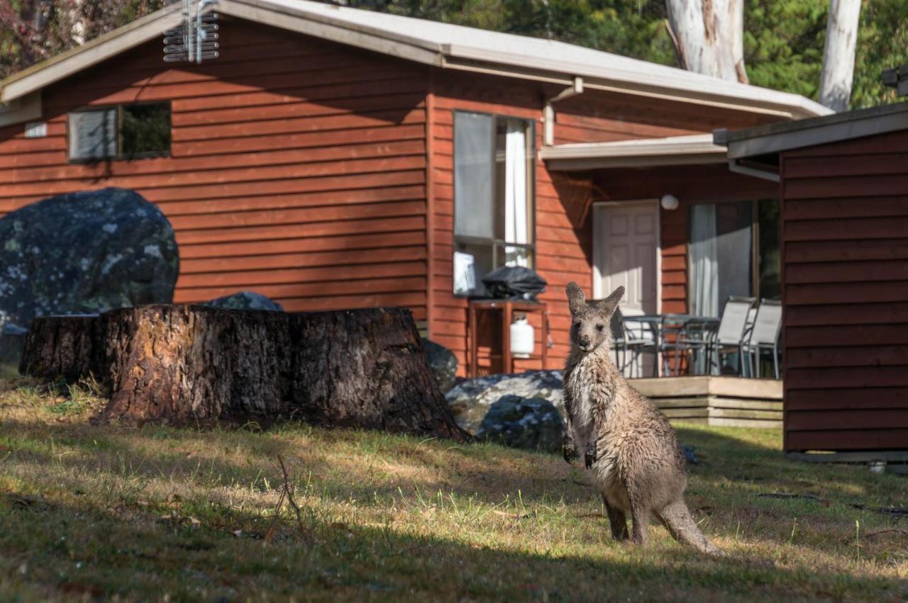 Wonderland Cottages Halls Gap Dış mekan fotoğraf